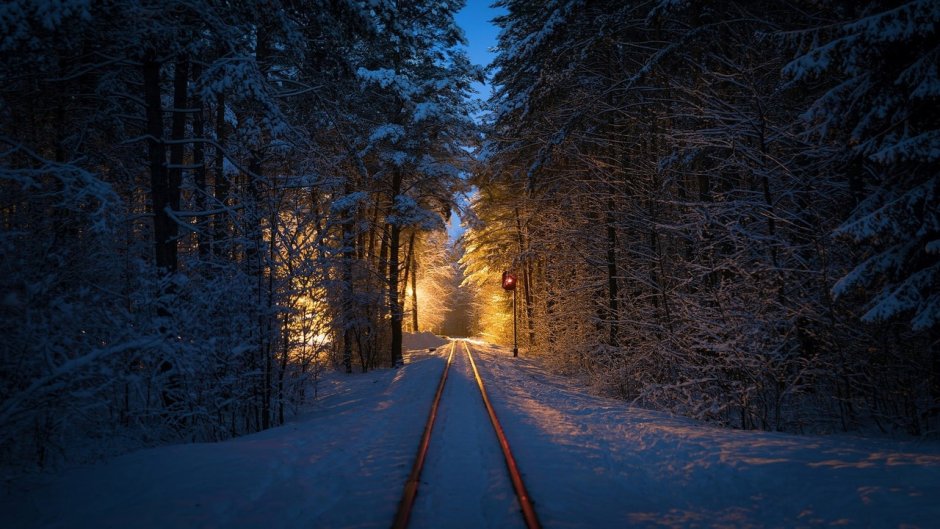 Зимняя дорога в лесу ночью