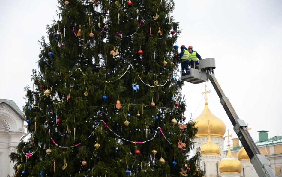 Москва, елка 25 метров, Соборная площадь Кремля