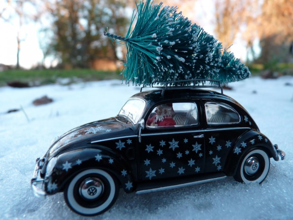 Volkswagen Beetle зима