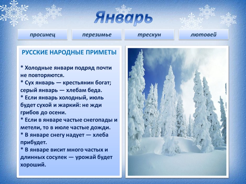 Календарь природы зима