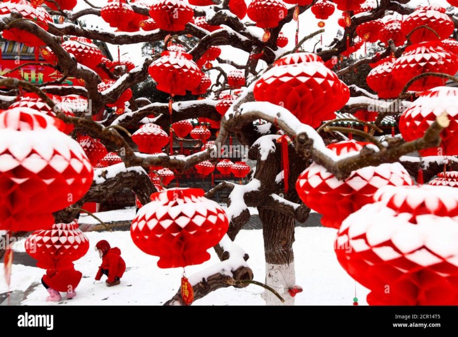 Китайское новогоднее дерево