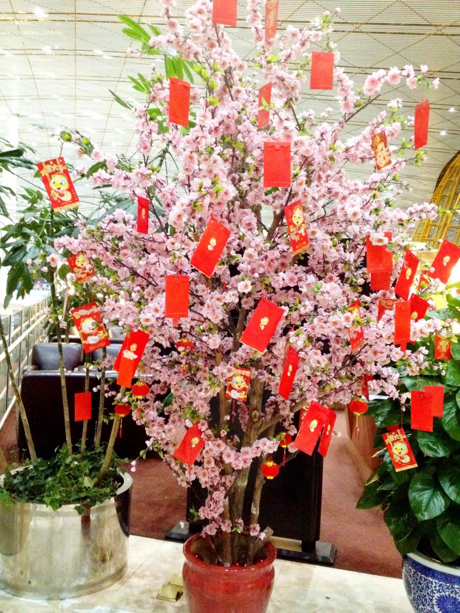 Вьетнамское новогоднее дерево