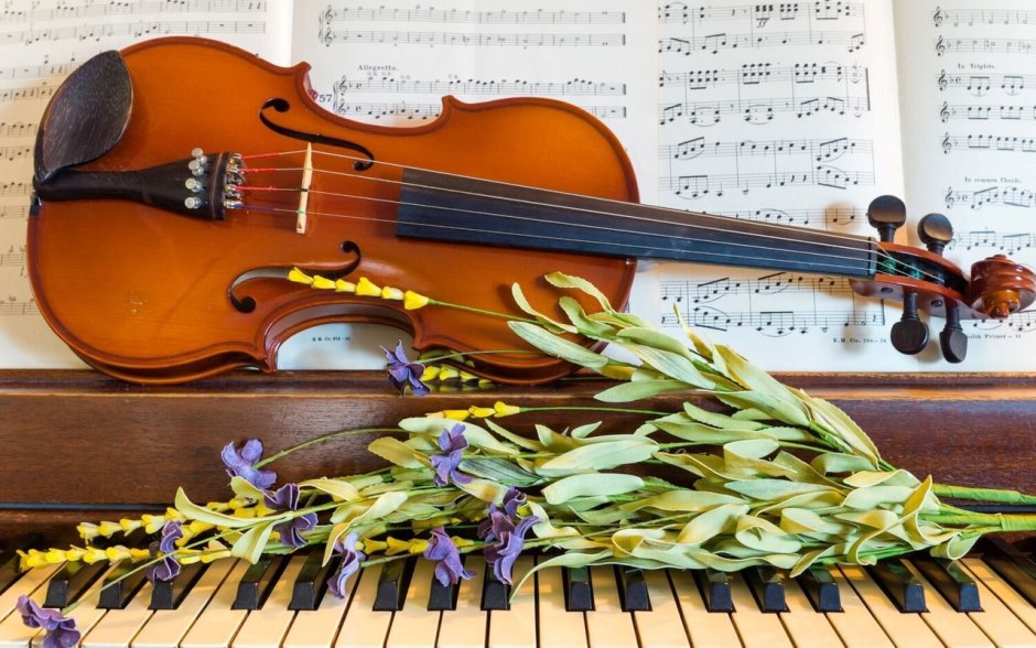 Фортепиано скрипка цветы