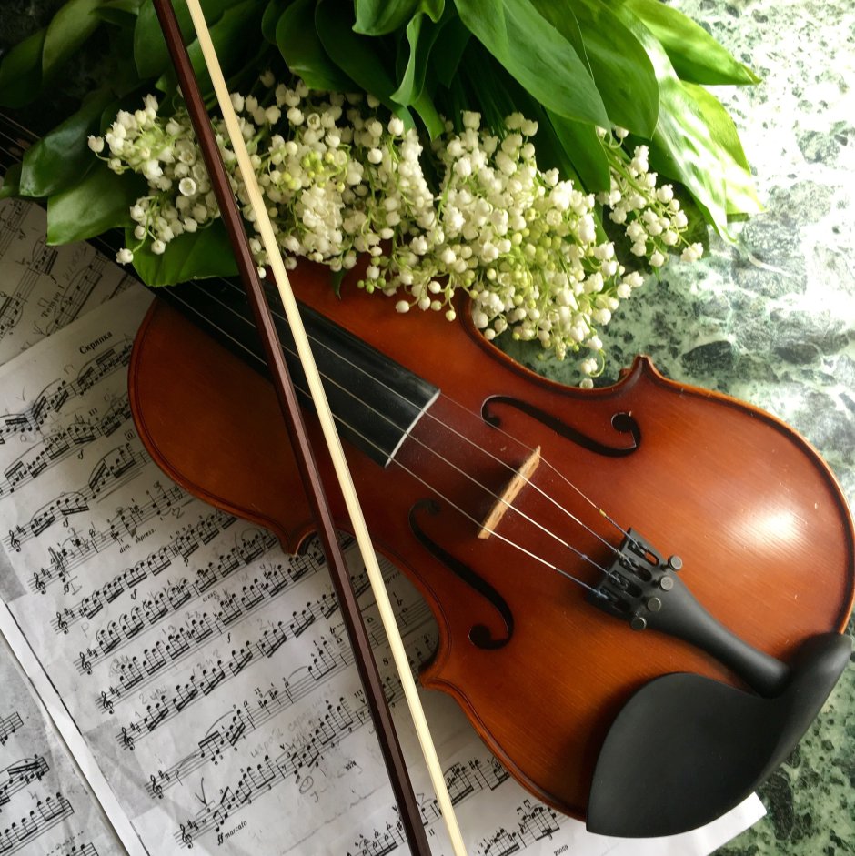 Красивая скрипка