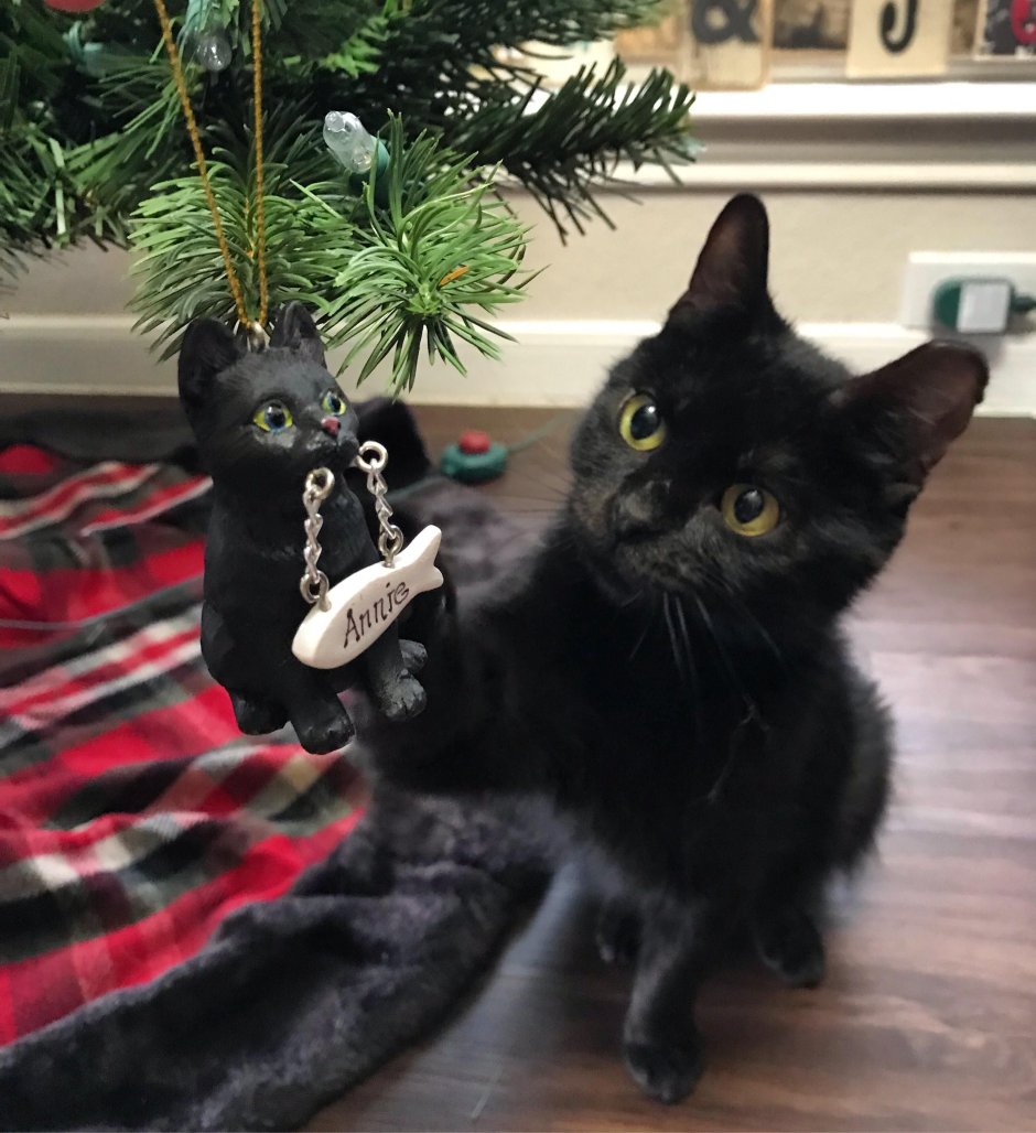 Новогодние коты черные
