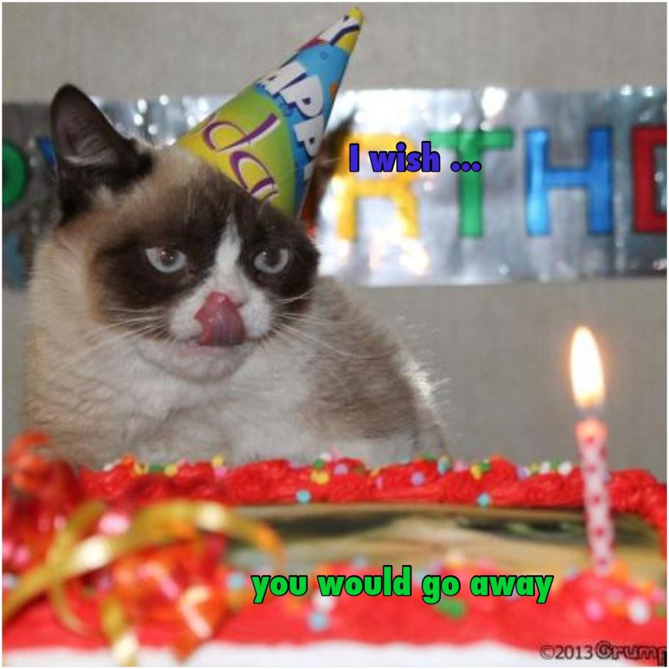 Унылый кот с днем рождения