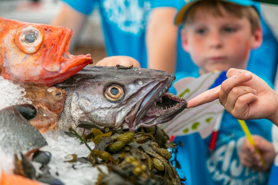 Фестиваль рыбы в Скандинавии