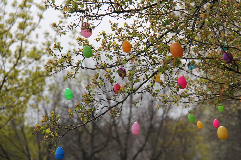 Пасхальное дерево Osterbaum