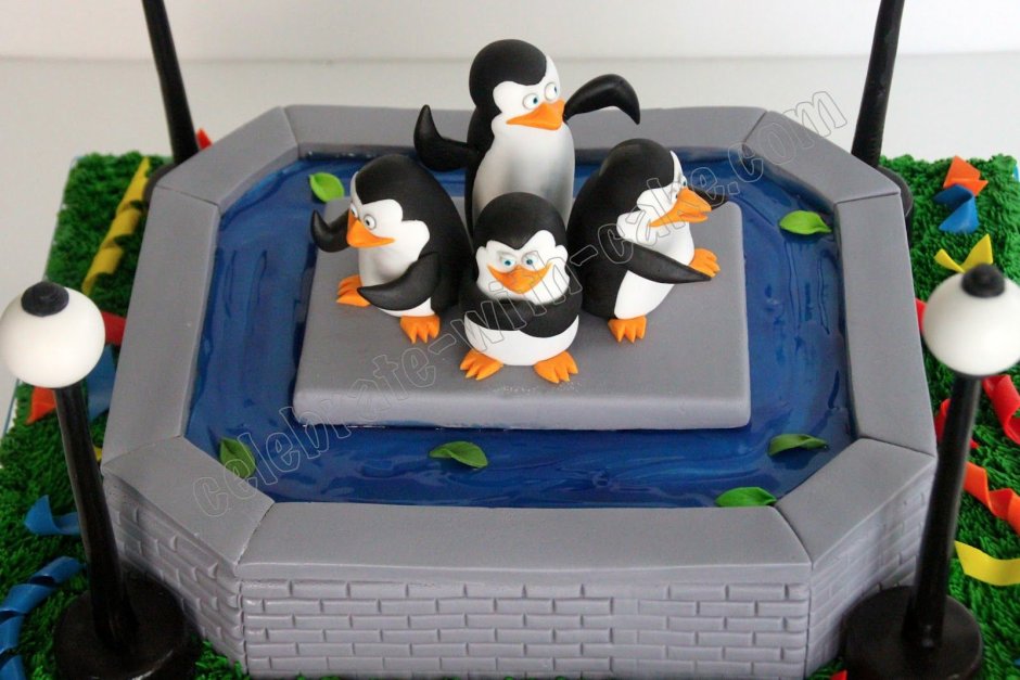 Торт с пингвинами из Мадагаскара