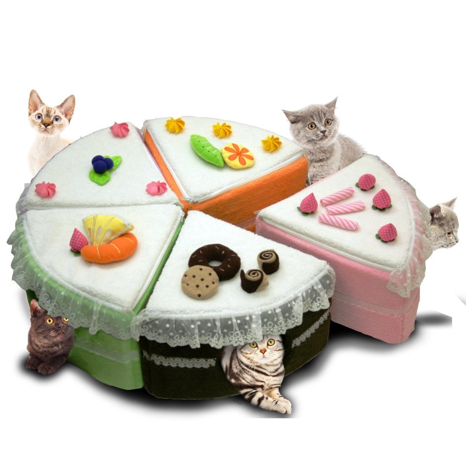 Торт кошка с кошками
