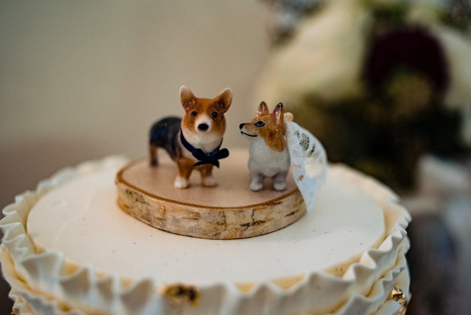 Торт корги невеста
