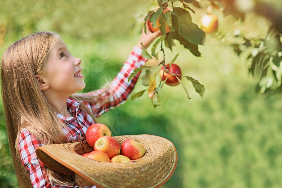 Девушка с яблоками в саду