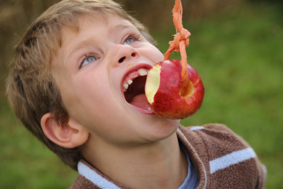 Поедание яблок