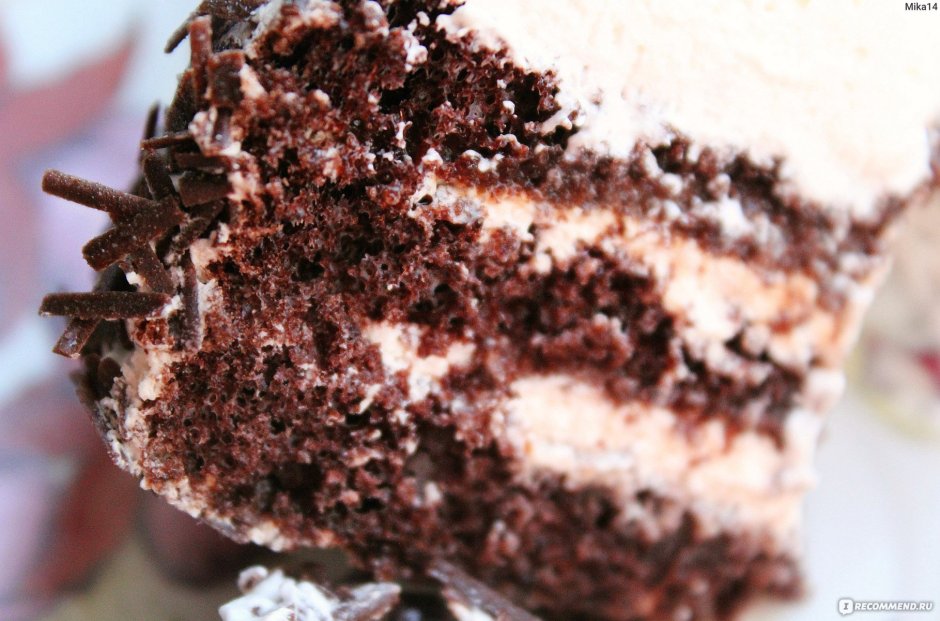 Шоколадный торт негр в пене