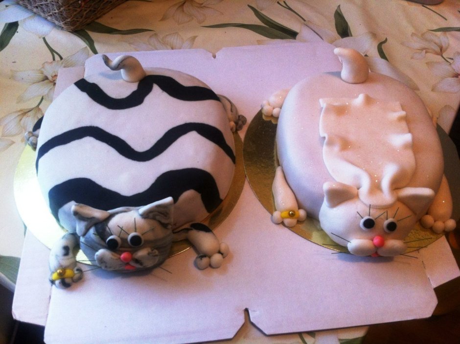 Торты с мастикой с котами