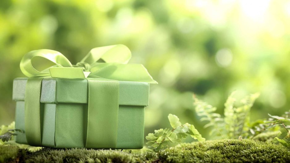 Красивый зеленый подарок