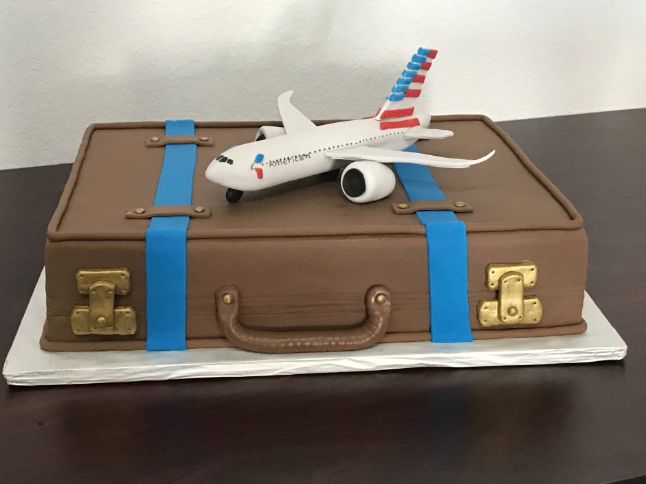 Торт для пилота самолета