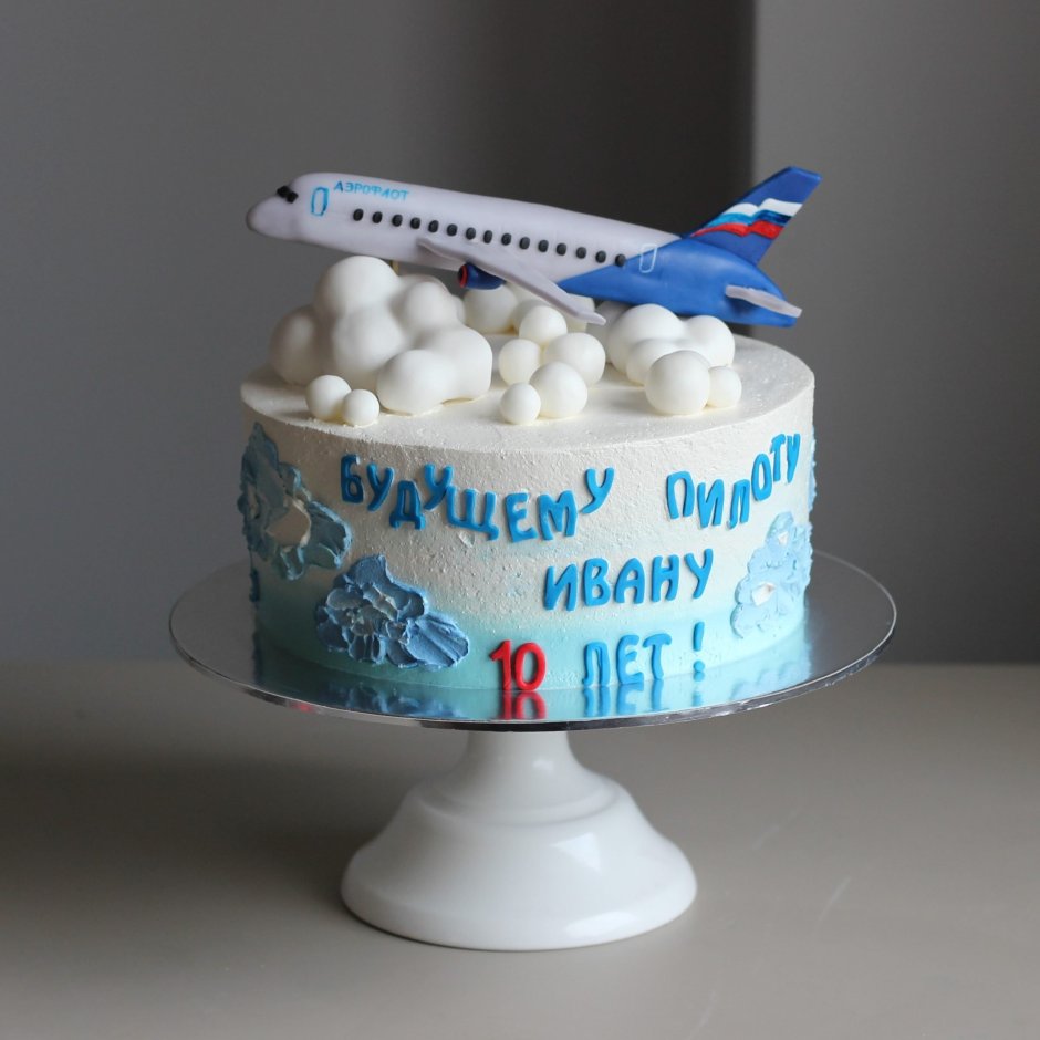 Мужской торт с самолетом