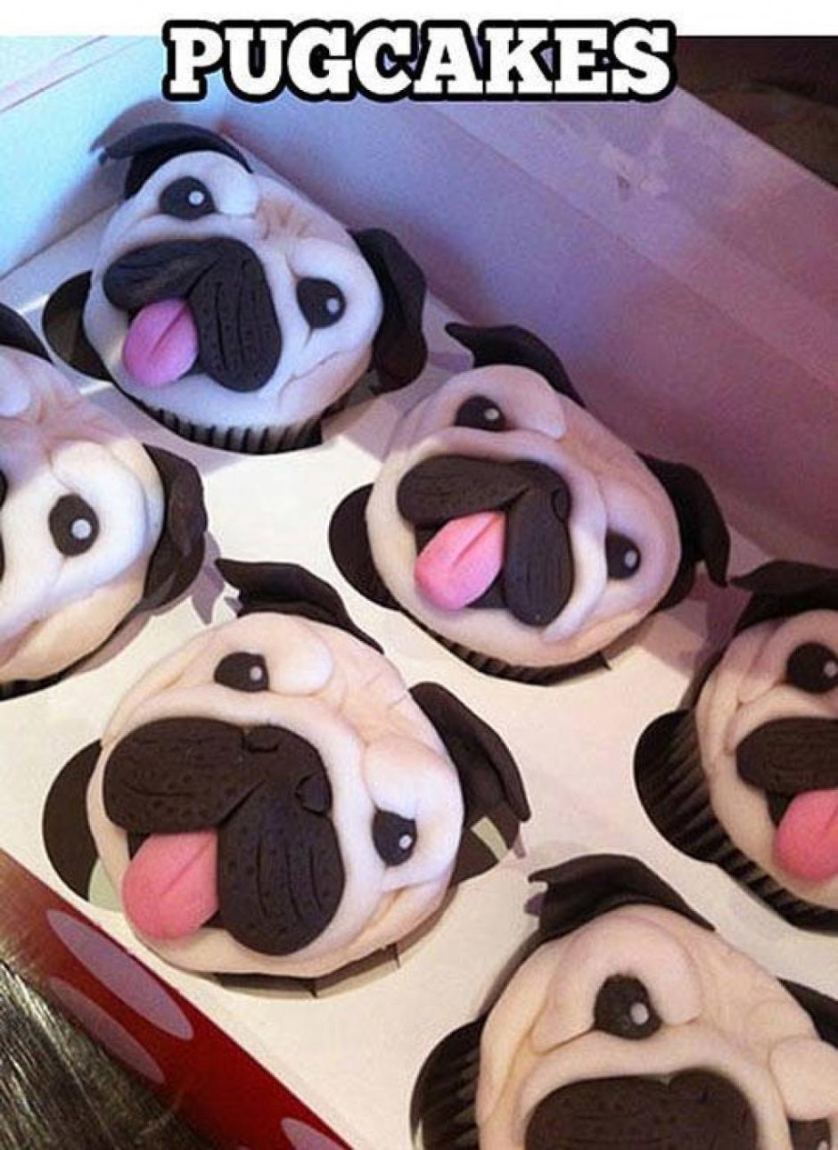 Пирожные для собак