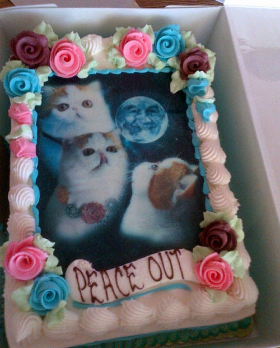Торт для любительницы кошек