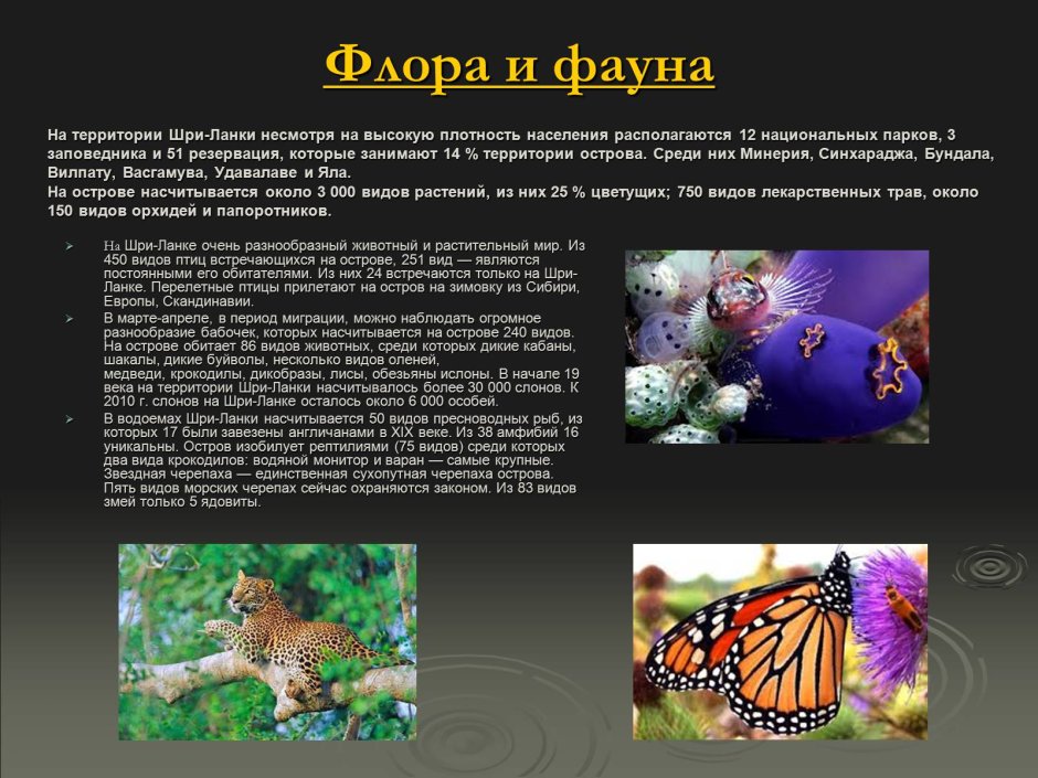 Презентация на тему Флора и фауна