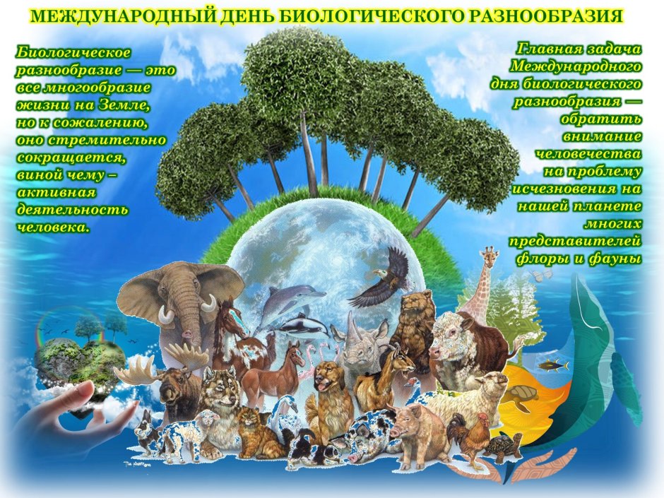 22 Мая Международный день биологического разнообразия