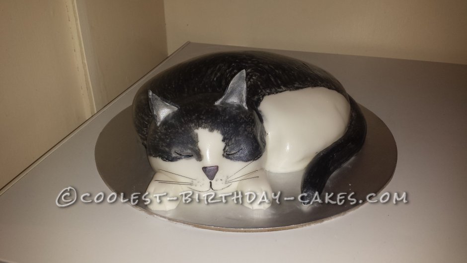 Кошачий торт еда для кошек