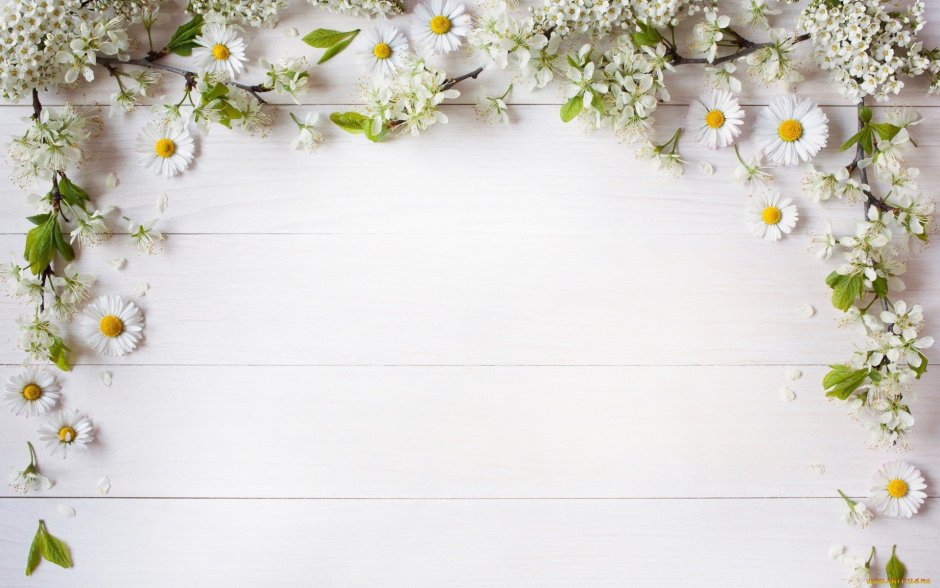 Белые доски с цветами