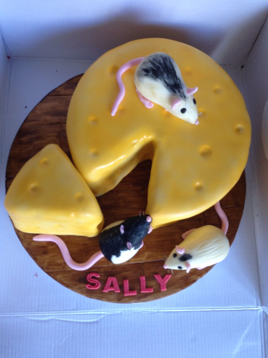 Торт с крысой на день рождения