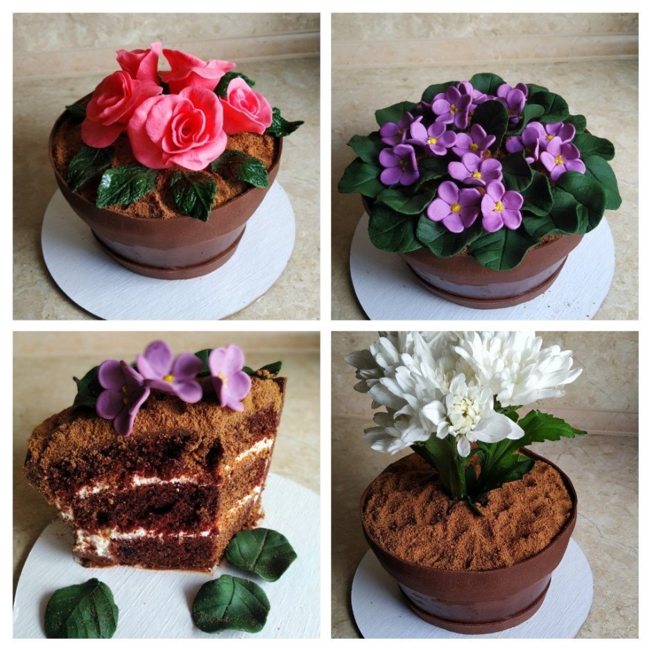 Торт горшок с цветами