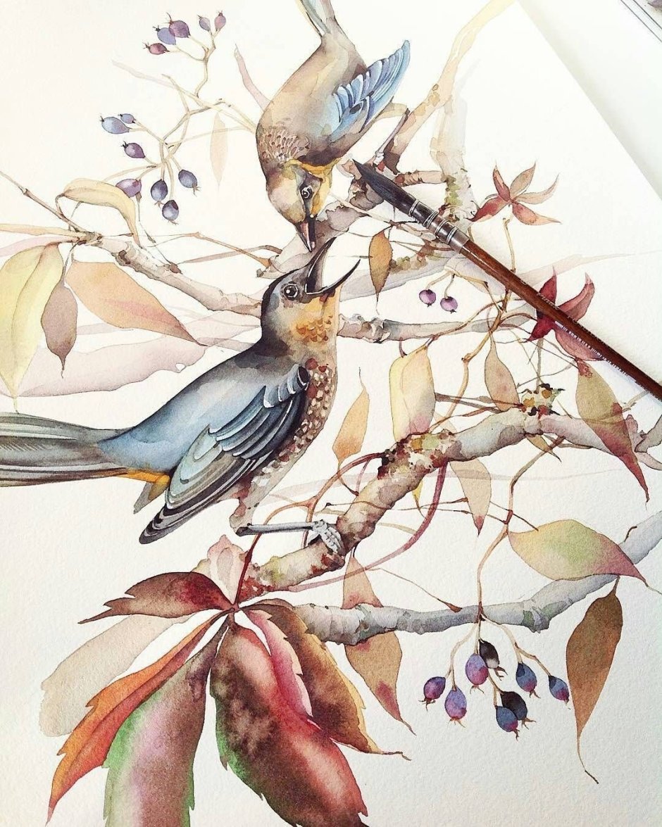 Птицы в акварельной живописи