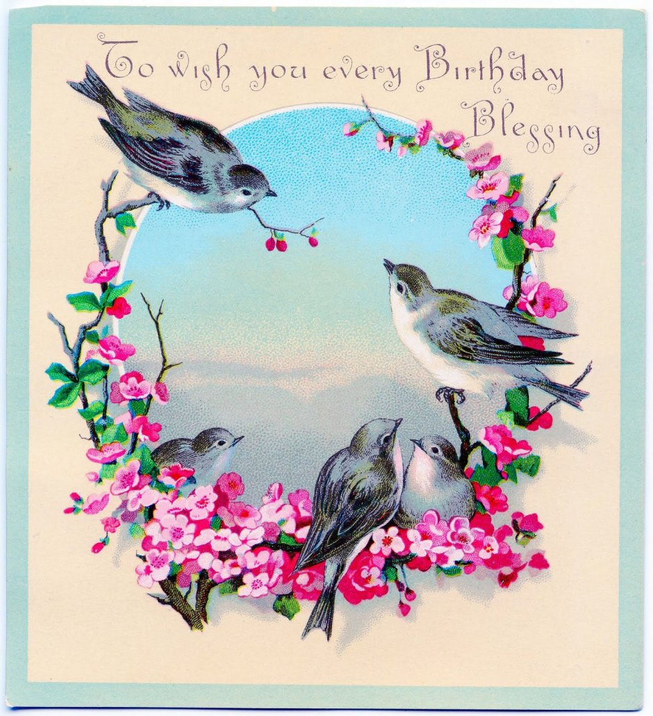 Открытки с днём рождения с птичками