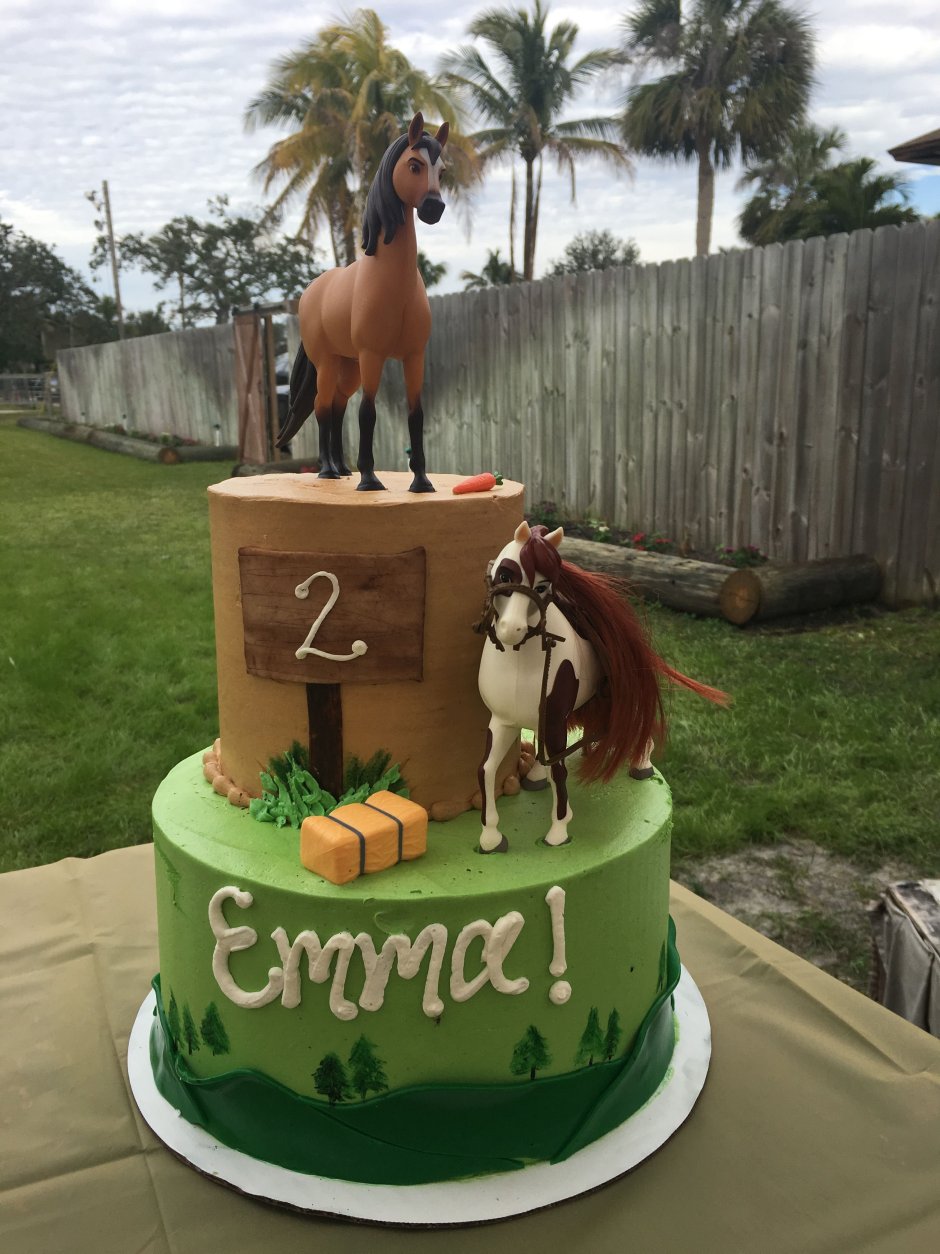 Торт для конника