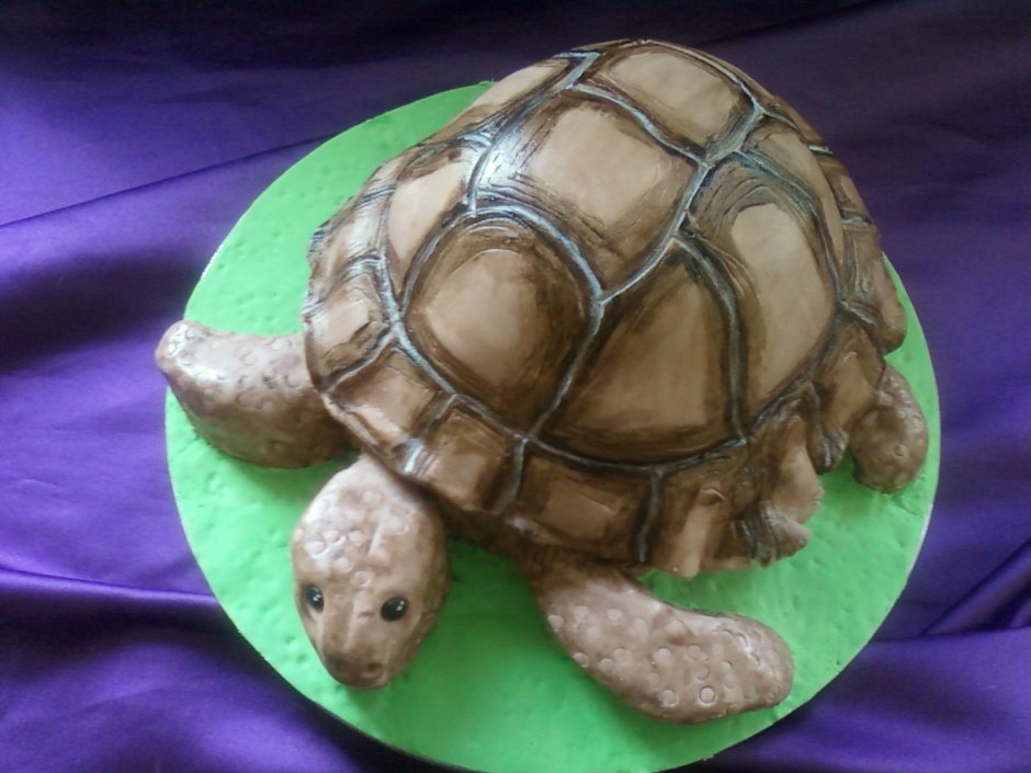 Торт черепаха Тортилла Домино