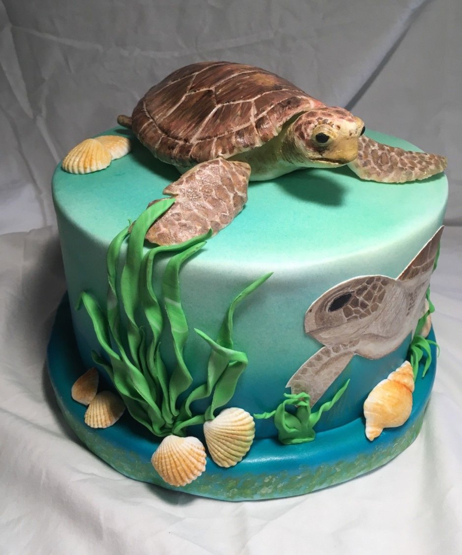 Торт в виде черепахи