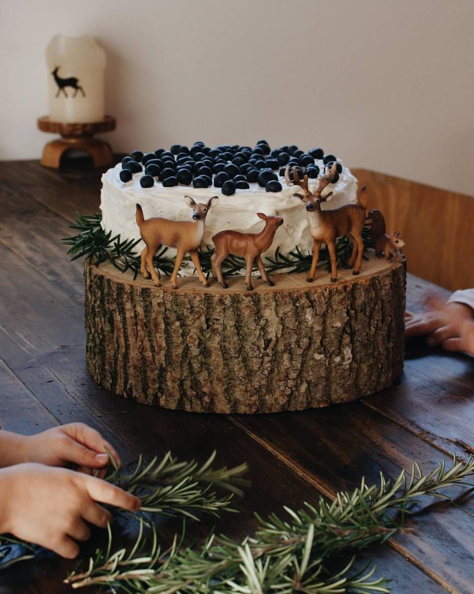 Торт с лесом Инстаграм