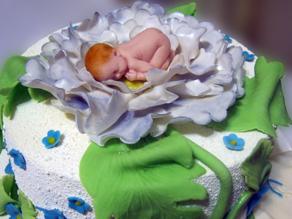 Торт младенец в цветке