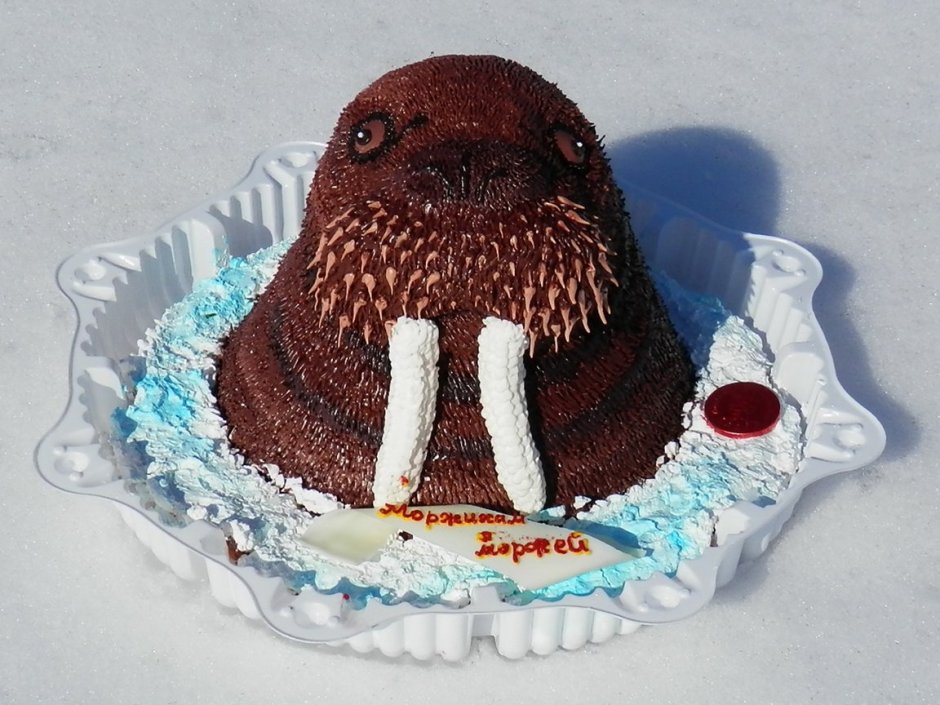 Торт в виде моржа