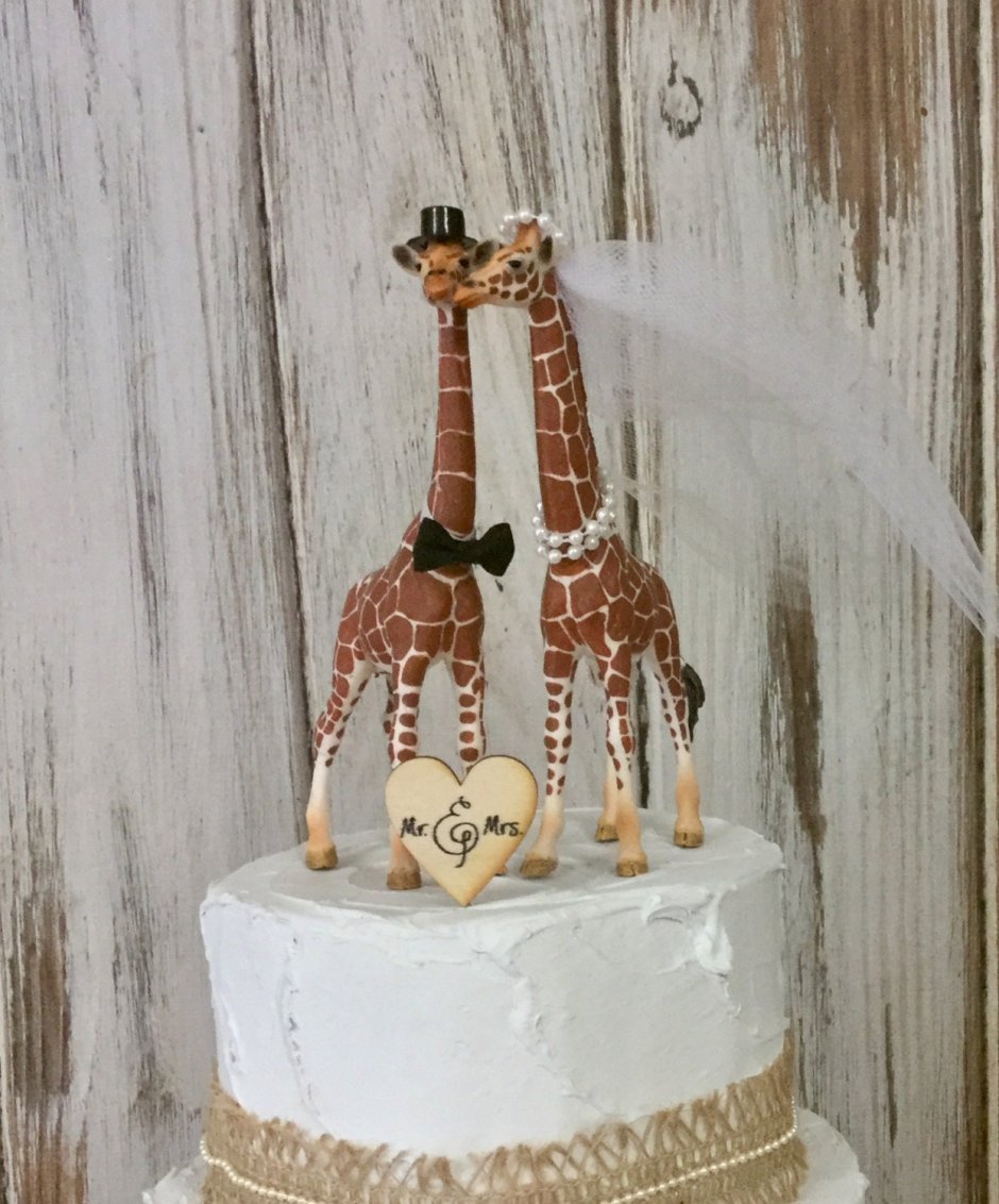 Свадьба Жирафов