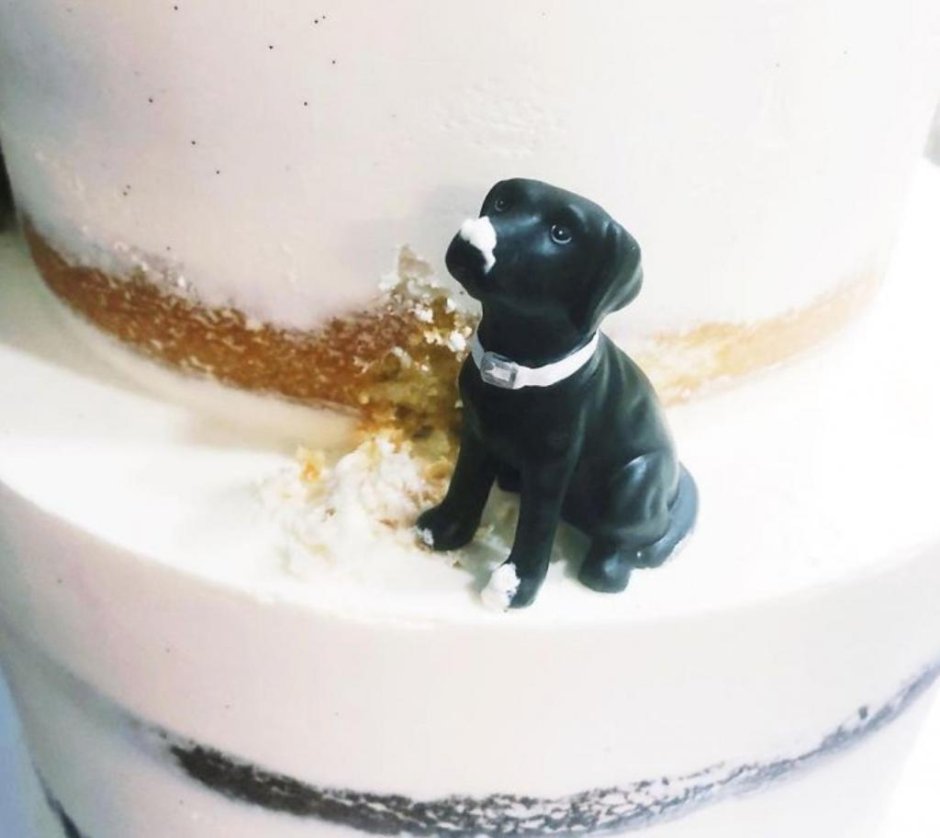 Свадебный торт с собакой