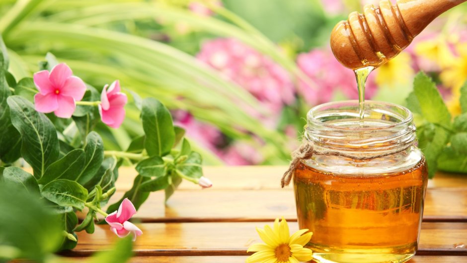 Мед и цветы