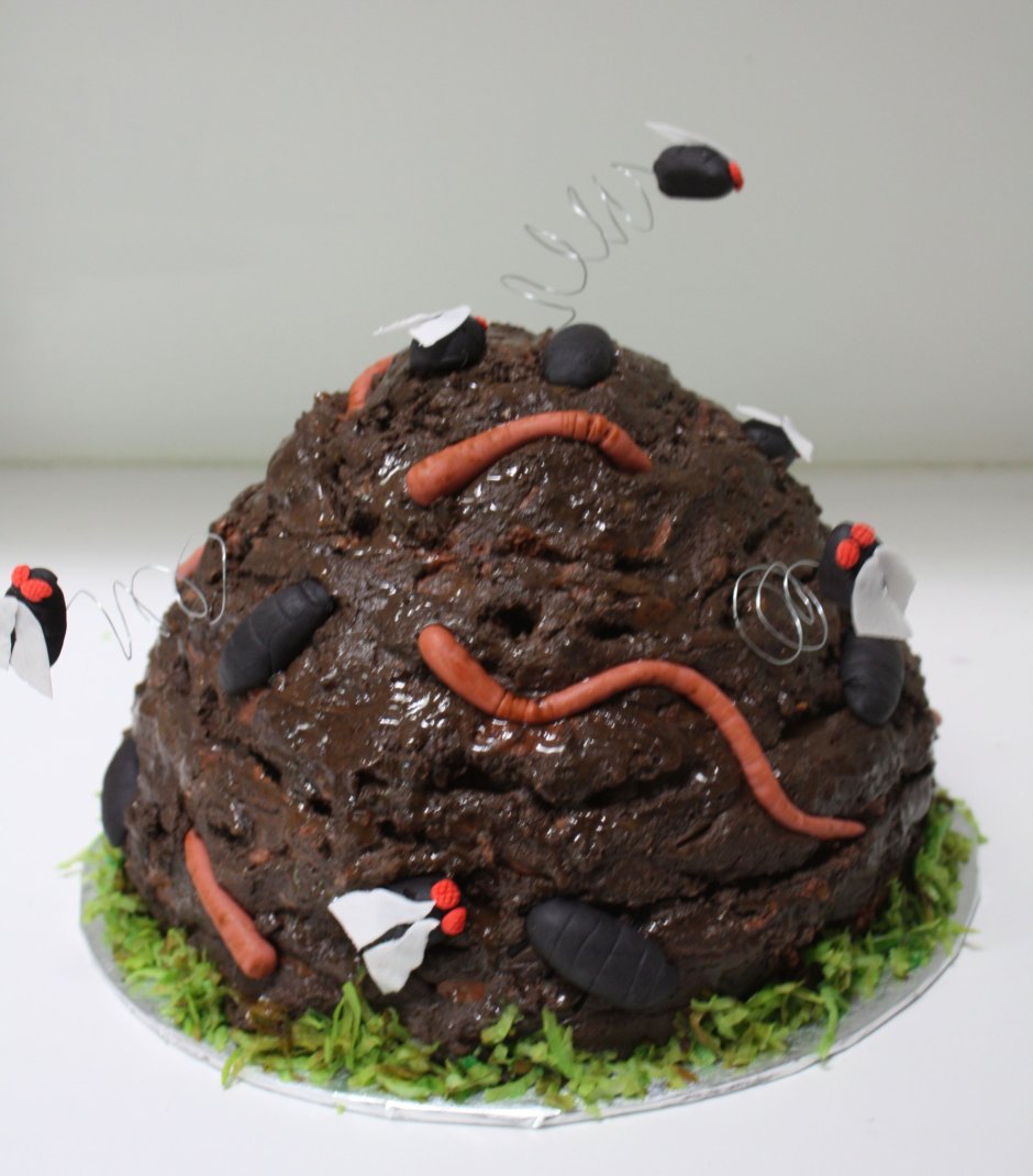Торт с жуками