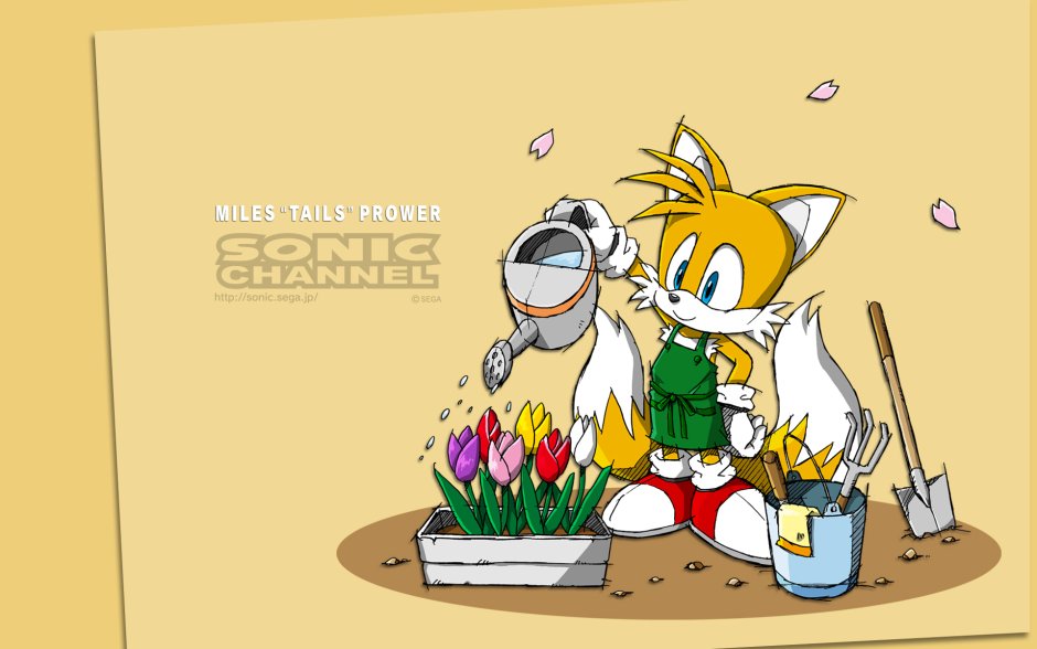 Sonic channel Tails