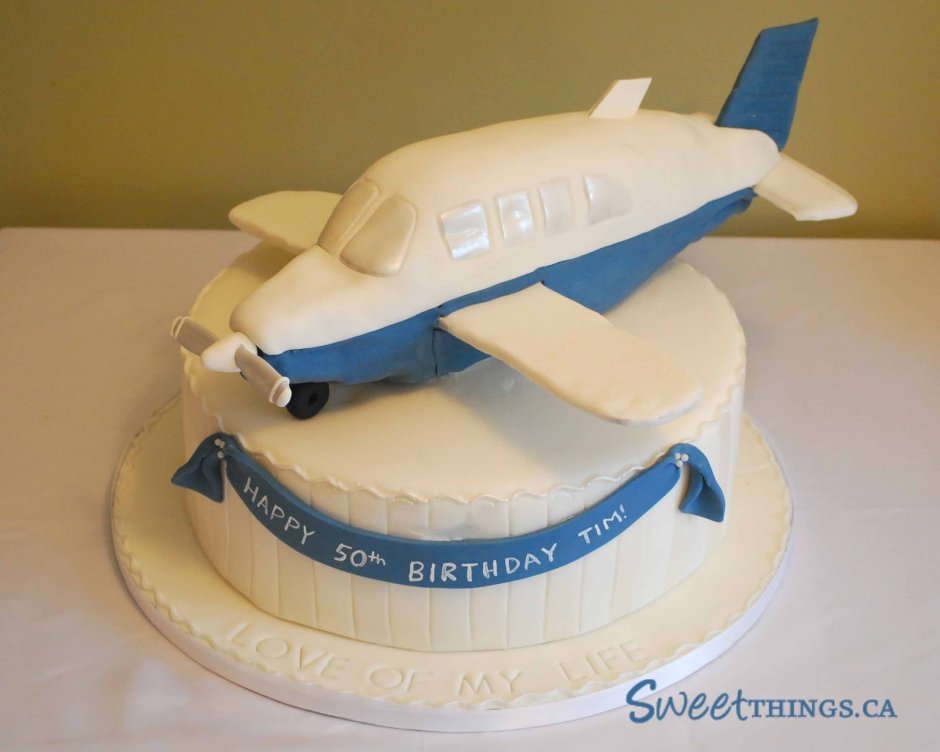 Торт в форме самолета