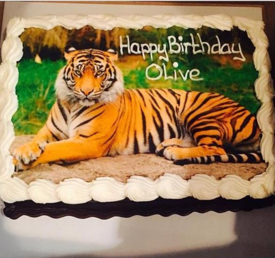 Изображения тигров на тортах
