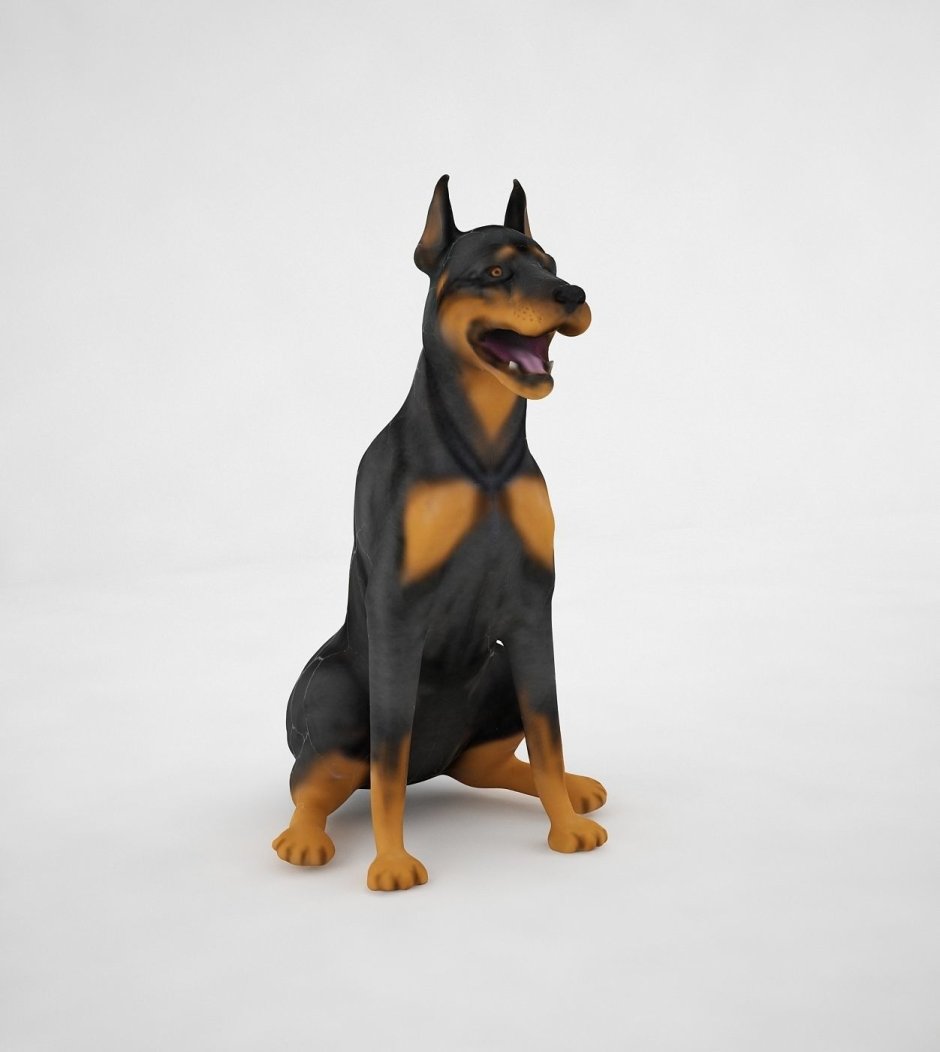 Doberman XPS model