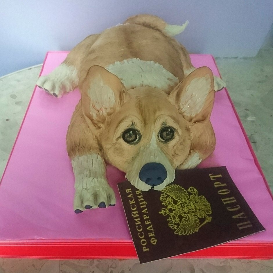 Торт в виде собаки корги