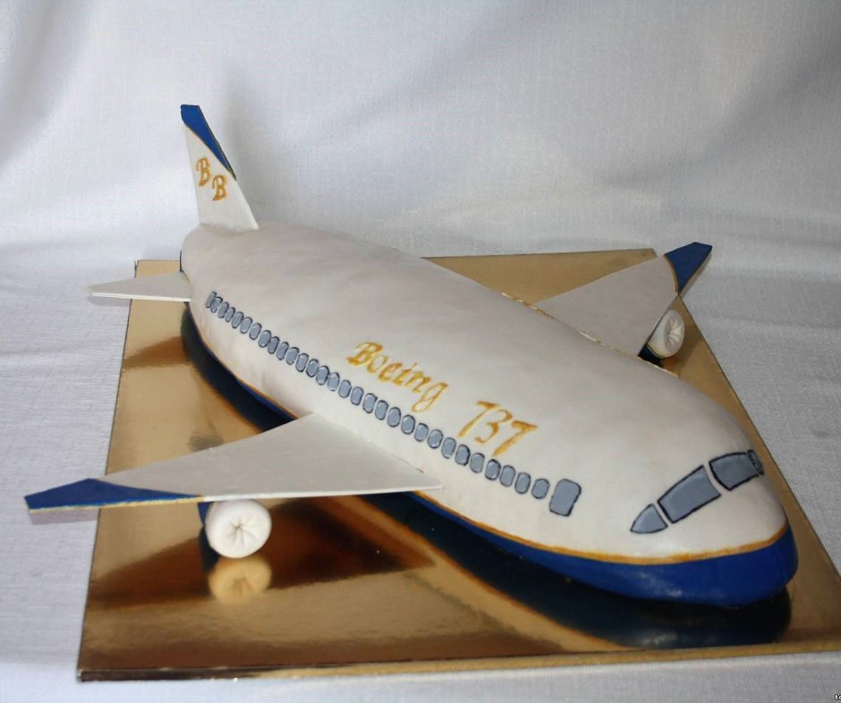 Торт в виде самолета