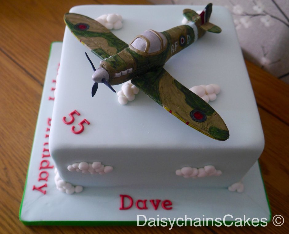 Торт в виде военного самолета