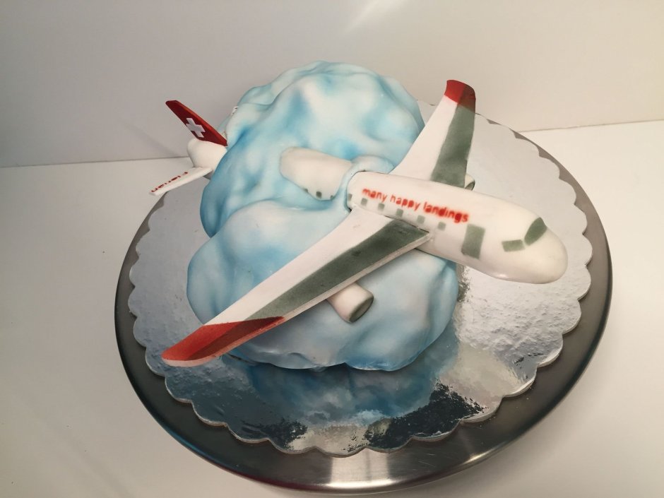 Муссовый торт с самолетом